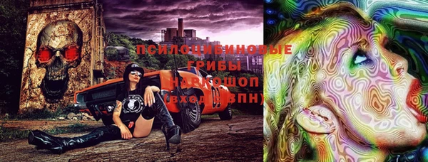 метадон Снежногорск