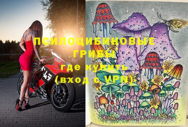 ПСИЛОЦИБИНОВЫЕ ГРИБЫ Вязьма