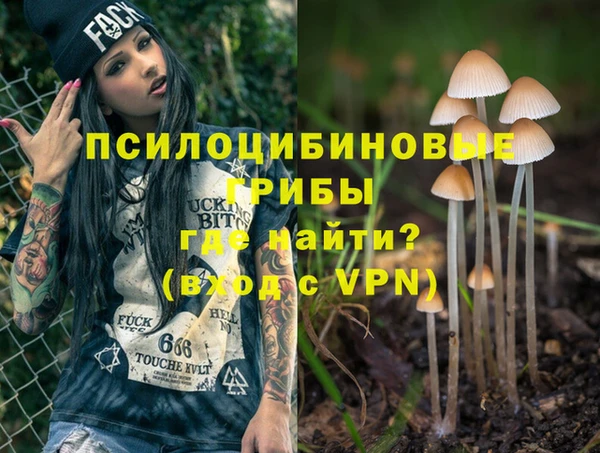 ПСИЛОЦИБИНОВЫЕ ГРИБЫ Вязьма